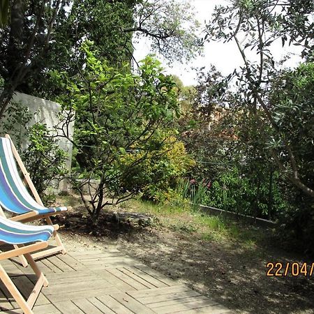 Nice - Studio Independant En Villa - Mer Ville Calme Jardinet Dış mekan fotoğraf